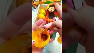 Кто снёс яйцо???😂