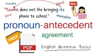 Pronoun Antecedent Agreement in English Grammar