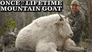 ONCE IN A LIFETIME Idaho Mountain Goat