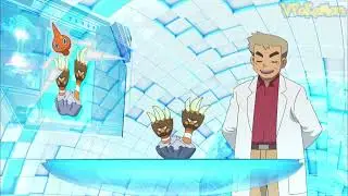 Binacle attacks Professor Oak | Professor Oak Funny Moments