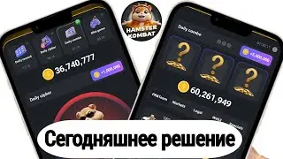 29-30 августа Daily Combo & Cipher Code || Hamster Kombat Daily Comb сегодня 🔥