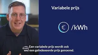 Wat is het verschil tussen een vaste, variabele en dynamische prijs?