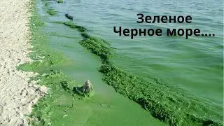 Что произошло за последние дни? Харьков, Одесса, Кривой Рог.