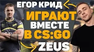 Hard Play ЗАБАНИЛ Егора Крида в CS:GO | Егор Крид ИГРАЕТ в CS:GO | ZEUS и Егор Крид ИГРАЮТ в CS:GO