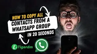 How to copy all contacts from a WhatsApp group 2024