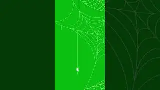 Spider Web Cobwel Green Screen #spider #spiderweb #greenscreen