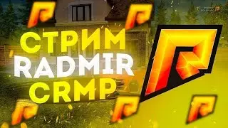 🤙🤙🤙 RADMIR CRMP STREAM || ПУТЬ БОМЖА НА РАДМИРЕ #1 #shorts  🤙🤙🤙