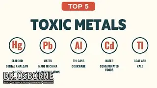 Top 5 Toxic Metals