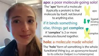 Structural strategies for getting a look at macromolecular complexes & the meaning of 