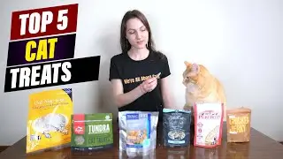 Best Cat Treats for Weight Loss: A Review