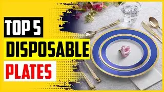 Top 5 Best Disposable Plates in 2022 – Reviews