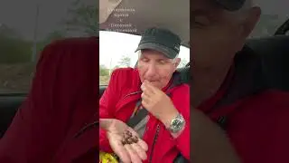 Орешки в шоколаде или китайский M&M’s. Пробуем китайские конфеты. Часть 3.