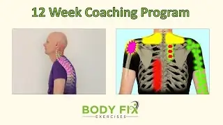 The 'Posture & Upper Body Health Solution' 12 week coaching program, by Dr Stefan Becker (chiro.)