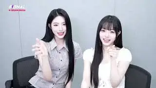 240724 트리플에스tripleS SIGNAL LIVE (채원 신위)