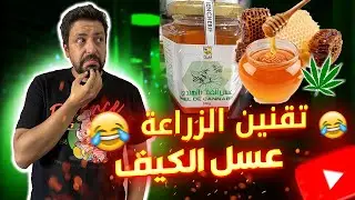 Black Moussiba || 😅🤣 عسل الكيف ، تقنين الزراعة والعفو الملكي