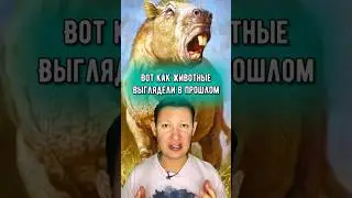 Как животные выглядели в прошлом?