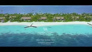 Waldorf Astoria Maldives Ithaafushi | Shades of Green (Beach Villas)