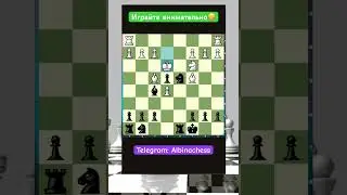 Telegram: Albinachess 
