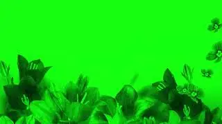 Beautiful Flowers Animated Rain Green Screen Effects Hd Vfx ।