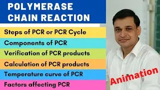 What is polymerase chain reaction (Animation) | Principle, steps and components of PCR