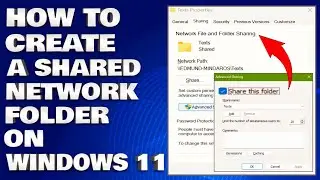 How To Create a Shared Network Folder on Windows 11/10 [Guide]