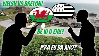 The story of the Welsh and the Bretons on a farm