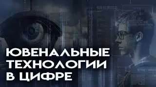 ИС Траектория - система выявления раннего семейного неблагополучия. Ювенальные технологии в цифре.