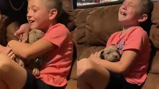 New Puppy Surprise | Wholesome Surprise Moments