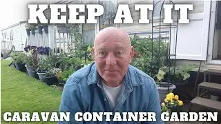 Dont Give Up Keep At It Container Gardening