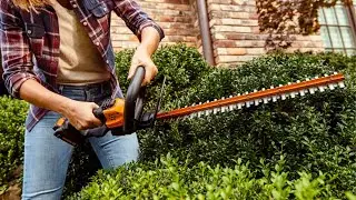 Top 5 Best Hedge Trimmer 2023