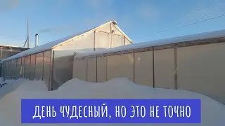 - 42 градуса! Обзор теплицы с Гортензиями.