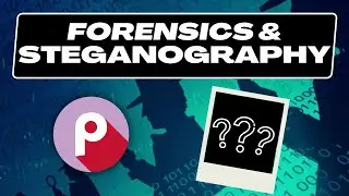 PNG Steganography! | picoCTF 2023 