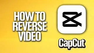 How To Reverse Video In CapCut Tutorial