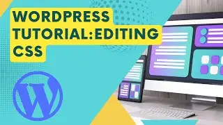 WordPress tutorial: Editing CSS in WordPress - Divi Theme