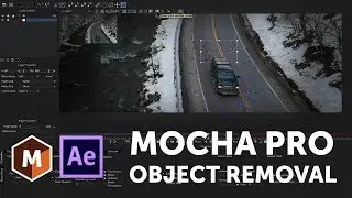 Mocha Pro Tips: How to Remove a Moving Object