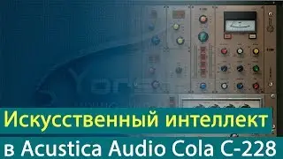 Искусственный интеллект в Acustica Audio Cola С-228 [Yorshoff Mix]