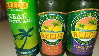 Reeds Ginger Beer Soda Challenge Review & Taste Test