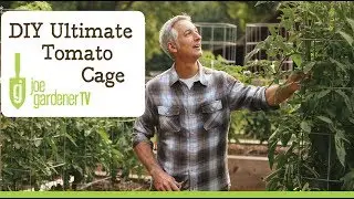 How to Make the Ultimate Tomato Cage