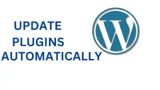 How To Set Up Automatic Updates Of Plugins In WordPress