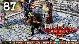 Слепой избранный — Divinity: Original Sin 2 Прохождение #87