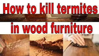 how to kill termites in wood furniture