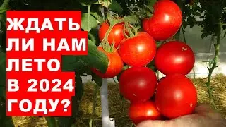 Ждать ли нам лето в 2024 году? Прогноз погоды на лето 2024 года. Weather for summer 2024