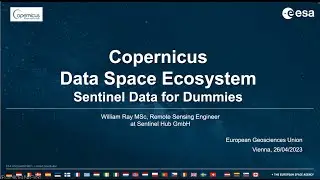 Sentinel Data for Dummies