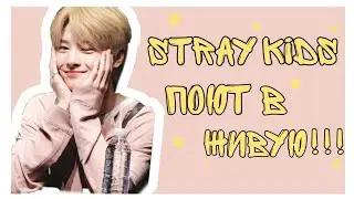 ❤️Stray kids поют в живую//Реальные голоса Stray kids❤️