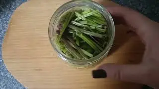 маринуем черенки сныти и купыря лесного