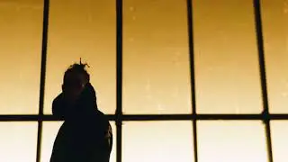 Zeamsone 