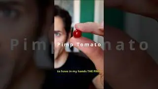 I tried the pea-sized ancestor of tomatoes - PIMP TOMATOES