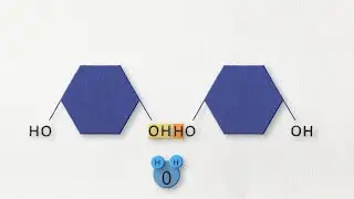 Dehydration synthesis and hydrolysis