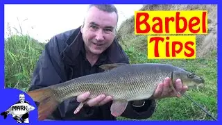 Barbel Fishing for Beginners