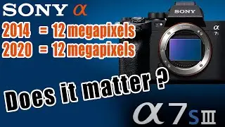 2014 Sony A7s 12MP - 2020 Sony A7sIII 12MP - Does It Matter?